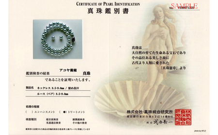 老舗の真珠専門店・高品質アコヤ真珠ブルーネックレスセット8.5～9.0ｍｍ（イヤリングセット） / あこや ネックレス 真珠 伊勢志摩 志摩 アクセサリー ギフト パール 母の日 記念 冠婚葬祭 〔700-10〕