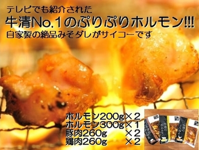 【022-03】自家製 みそダレ Lセット 牛ホルモン 200ｇ×２ 300ｇ×１ 豚肉 ×２ 鶏肉 ×２/ 黒毛和牛ホルモン 牛清 バーベキュー BBQ キャンプ 牛肉 ぶた肉 とり肉 特製 味噌漬 味付 伊勢志摩