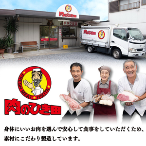 松阪牛 ハンバーグ 冷凍 合い挽き 10個 松阪牛 牛肉