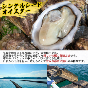 【生食用】 牡蠣 15個  生牡蠣 生食 殻付き 英虞湾産 シングルシードオイスター 「アマテラス」 牡蠣