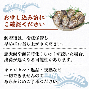 【生食用】 牡蠣 15個  生牡蠣 生食 殻付き 英虞湾産 シングルシードオイスター 「アマテラス」 牡蠣