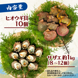 バーベキュー BBQ セット 海鮮 貝 サザエ ヒオウギ貝 伊勢 志摩 三重県 伊勢志摩 志摩 国産 新鮮 天然 焼き物 グリル セット 産地直送 キャンプ アウトドア 熨斗