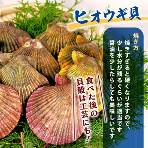 バーベキュー BBQ セット 海鮮 貝 サザエ ヒオウギ貝 伊勢 志摩 三重県 伊勢志摩 志摩 国産 新鮮 天然 焼き物 グリル セット 産地直送 キャンプ アウトドア 熨斗