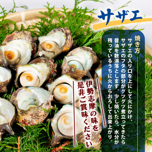 バーベキュー BBQ セット 海鮮 貝 サザエ ヒオウギ貝 伊勢 志摩 三重県 伊勢志摩 志摩 国産 新鮮 天然 焼き物 グリル セット 産地直送 キャンプ アウトドア 熨斗