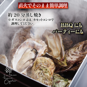 ｶｷ ｶﾝ牡蠣のカンカン焼き 20個入 的矢かき 冷凍 / 牡蠣 殻付き 冷凍 かき カキ 的矢牡蠣 カンカン焼き 三重県産 伊勢志摩 伊勢 志摩 的矢 養殖 的矢湾 新鮮 直送 年末年始 お正月 お歳暮 贈答 濃厚 いせ しま まとや 簡単 調理 直火 貝 魚貝類 BBQ アウトドア キャンプ パーティー 一万七千円 1万7千円 17000円 【年内発送 12月26日まで】