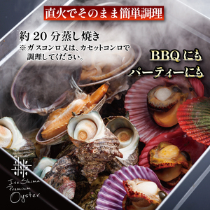 貝詰め合わせセット カンカン焼き 冷凍 / 牡蠣 サザエ 檜扇貝 的矢牡蠣 伊勢志摩 伊勢 志摩 三重 新鮮 ヒオウギ貝 かき カキ 的矢かき 年末年始 お正月 贈答 贈答品 海鮮 貝 魚貝類 鮮魚 名産 ギフト いせ しま 簡単 調理 浜焼き BBQ アウトドア キャンプ パーティー 一万八千円 1万8千円 18000円 伊勢志摩の宝石箱 【年内発送 12月26日まで】