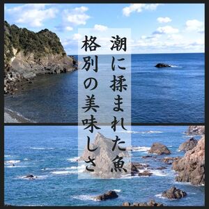 干物職人が選ぶ朝獲れ魚の干物 五種セット ／ 干物 ひもの 5種 旬 おまかせ おたのしみ お楽しみ セット 詰め合わせ おかず 朝食 