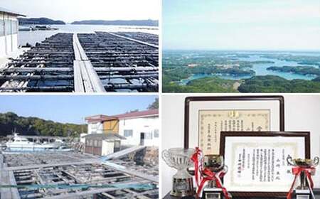 真珠屋さん 誰もが可愛く！アコヤ真珠 リング【フリーサイズ】（K18PG）/ 伊勢 志摩 ｷﾞﾌﾄ ｼﾞｭｴﾘｰ ﾌﾟﾚｾﾞﾝﾄ 普段使い 人気 冠婚葬祭