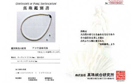老舗の真珠専門店・高品質アコヤ真珠ネックレス・ ピアス セット5.5～6.0ミリ / 伊勢志摩 志摩 三重県 真珠 パール あこや アクセサリーネックレス イヤリング ピアス セット ジュエリー アコヤ貝 冠婚葬祭 結婚式 葬式 フォーマル