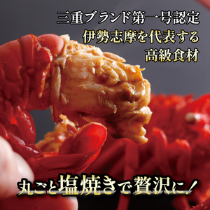 【冷凍】 伊勢海老 500g 2尾 ~ 3尾 伊勢海老