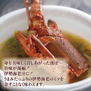 【冷凍】 伊勢海老 500g 2尾 ~ 3尾 伊勢海老
