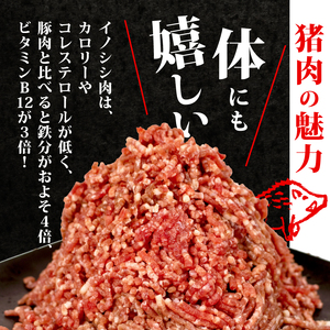 【 大容量 】ジビエ ミンチ 計1.2kg 小分け 300g✕4パック 冷凍 猪肉 天然 イノシシ肉 いのしし肉 ミンチ肉 ひき肉 挽肉 ハンバーグ パスタ ミートソース メンチカツ カレー ヘルシー 健康 ジビエ料理 肉料理 家庭料理 肉 伊勢志摩 伊勢 志摩 三重県 5000円 五千円 5千円