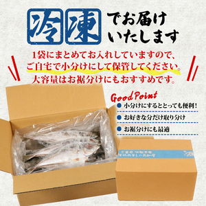 【訳あり】 干物 約1kg アジ 干物