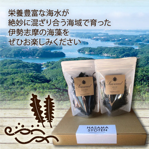  【わかめ】 乾燥わかめ めひび 2種 セット 40g × 各1袋 