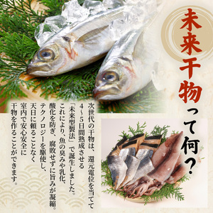 未来干物 おまかせ3種セット 合計6パック