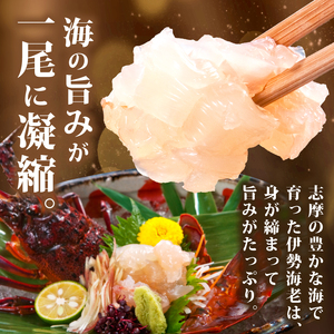 【伊勢海老】伊勢海老 約350g～400g 3尾 冷凍