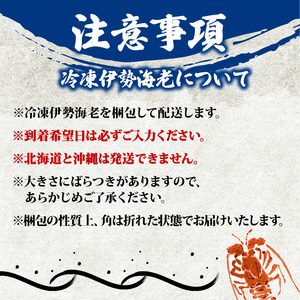 冷凍 伊勢海老 約 1kg 3尾