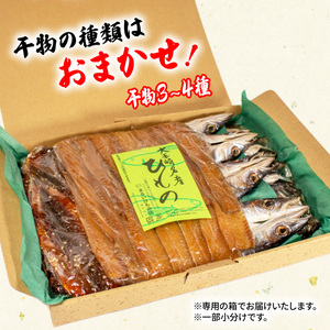 干物 セット ひもの 詰め合わせ 3~4種 詰合せ 冷凍 魚 魚介類 海鮮 旬 国産 産地直送 朝食 三重県 伊勢志摩 志摩 10000円 一万円