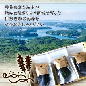 3種 海藻 詰め合わせ セット 小分け パック あおさ 15g わかめ 20g ひじき 20g 三重 志摩 伊勢志摩 乾燥 朝 ご飯 朝食 米 味噌汁 スープ お吸い物 酢の物 酢 サラダ お茶漬け 煮物 かき揚げ うどん ラーメン パスタ 簡単 お手軽 