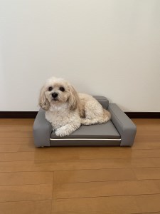 【手作り】 ペットソファ リオン ペットソファ