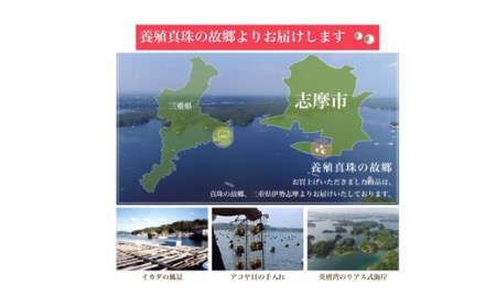 老舗の真珠専門店・高品質アコヤ真珠ブルーネックレスセット7.5～8.0ミリ（イヤリングセット） / あこや ネックレス 真珠 伊勢志摩 志摩 アクセサリー ギフト パール 母の日 記念 冠婚葬祭 〔500-17〕