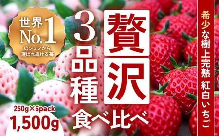 完熟クラフト苺BERRY】有名シェフ御用達【樹上完熟いちご 欲張り３種