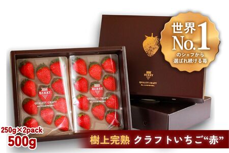 【完熟クラフト苺BERRY】有名シェフ御用達【樹上完熟赤いちご】約500g（出荷2025年12月上旬～2026年5月下旬）【yuji0009】