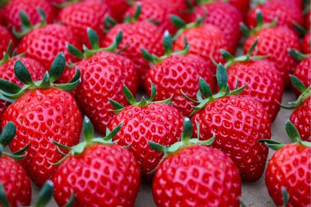 【完熟クラフト苺BERRY】有名シェフ御用達【樹上完熟赤いちご】約500g（出荷2025年12月上旬～2026年5月下旬）【yuji0009】