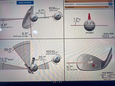 地クラブウェッジ2本お仕立券〈100,000円分〉【エポンゴルフ、アーティザンなど】