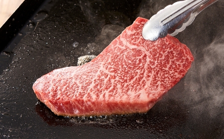 【3回　定期便】伊賀牛ステーキコース1（モモ、ヒレ各150ｇ×2、サーロイン200ｇ×2）