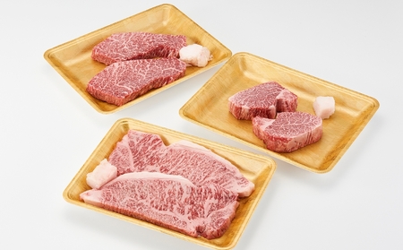 【3回　定期便】伊賀牛ステーキコース1（モモ、ヒレ各150ｇ×2、サーロイン200ｇ×2）