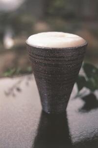 長谷園 伊賀焼 ビアマグ炭焼ペアギフト 中