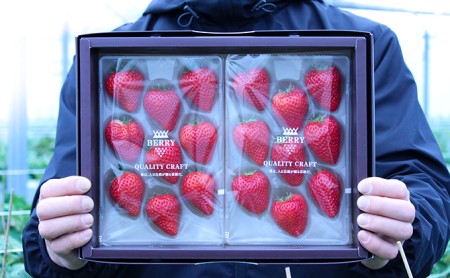 <BERRY>霧がつくる濃厚な甘さ「伊賀のいちご」樹上完熟よつぼし 約500g【出荷2022年1月上旬~5月上旬】