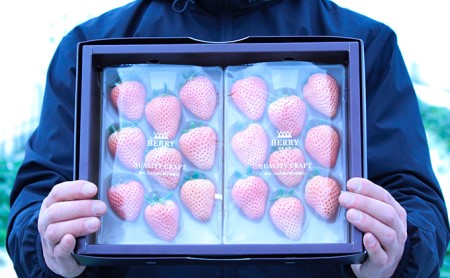 霧がつくる濃厚な甘さの白いちご 伊賀の淡雪 約600g 出荷21年1月中旬 4月下旬 三重県伊賀市 ふるさと納税サイト ふるなび