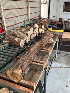 クヌギ薪 35cm 20kg 乾燥 焚き火・薪ストーブにぴったり