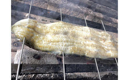 特選国産雌うなぎ 骨抜き白焼き（秘伝タレ付き）
