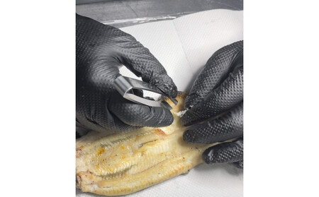 特選国産雌うなぎ 骨抜き白焼き（秘伝タレ付き）