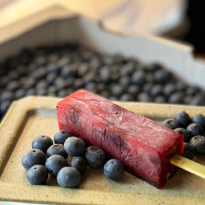 伊賀彩菓 くずよせ 5種類10本保冷バック入り