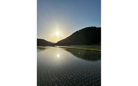 純米大吟醸　若戎　－磨き50－