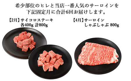 【年6回偶数月発送】伊賀牛 A5ヒレ・サーロイン 定期便B 総合計約4.7kg