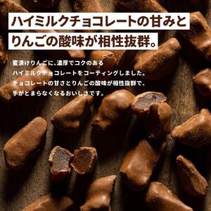 アップルチョコレートミルク900g