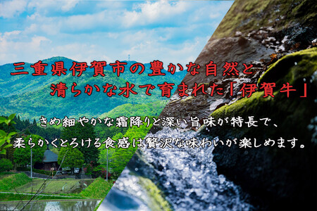 伊賀牛 カルビ焼肉 約350g