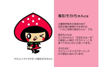 伊賀忍者いちご プレミアムモカベリー 4パックセット(約270g×4)