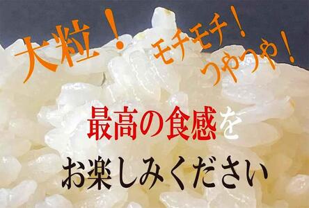 伊賀米コシヒカリ特別栽培米「真米」白米10kg