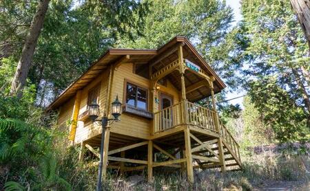 知育玩具 こだわりから生まれた木のおもちゃ セットB