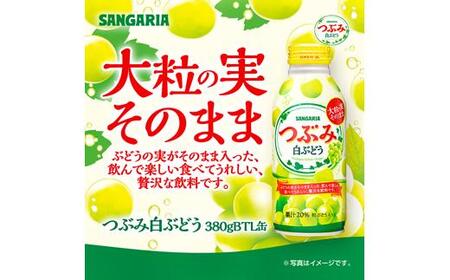 サンガリア すっきりと白ぶどう 500mlペットボトル×24本入 見やすい