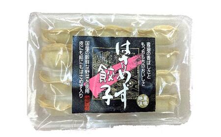 はさめず餃子セット