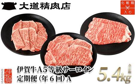 【年6回】伊賀牛 A5サーロイン 定期便コースA 総合計約5.4kg