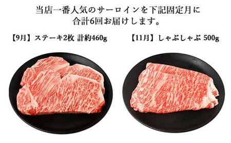 【年6回】伊賀牛 A5サーロイン 定期便コースC 総合計約2.9kg
