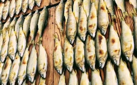 【日本料理屋・四季の里まつもと】（8尾入）伊賀の香り 子持ち鮎の甘露煮